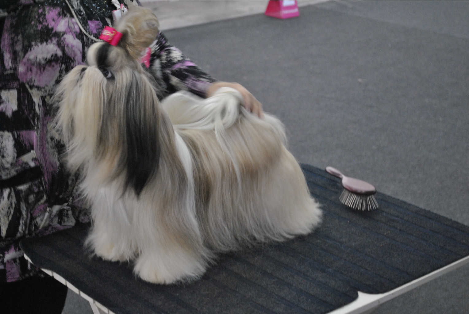 DSC_0409.JPG