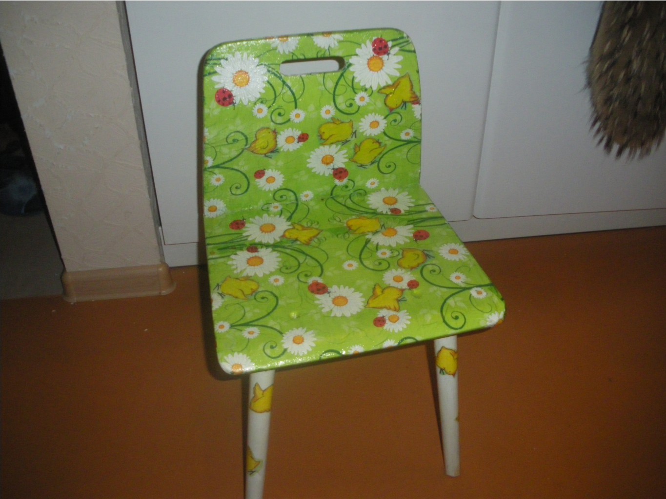IMGP6004.JPG