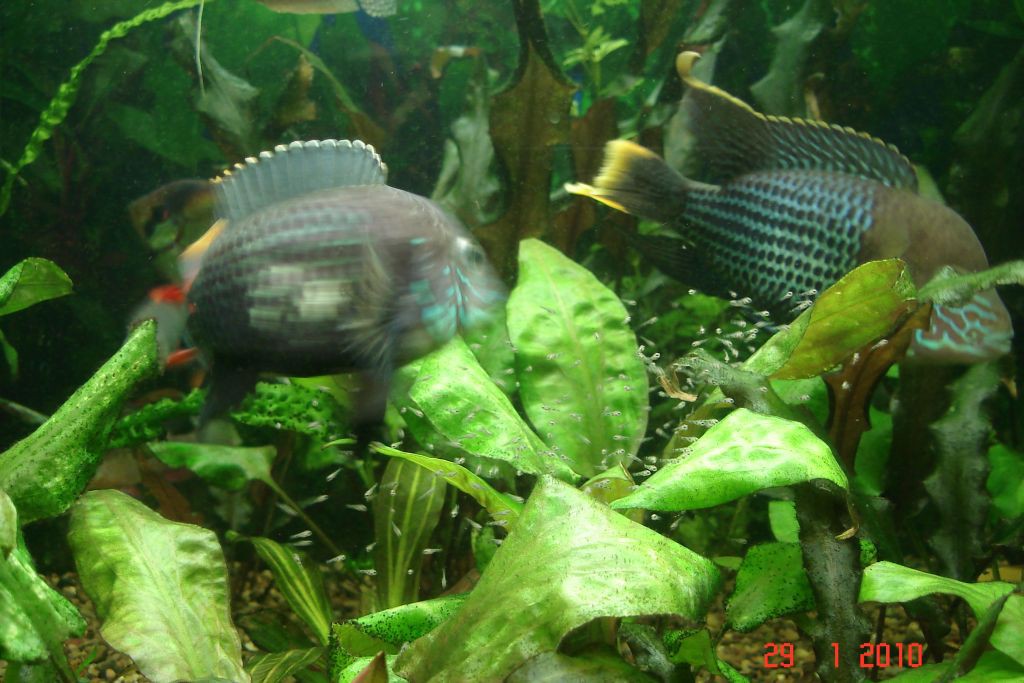 05.02.2010 19:07:29
