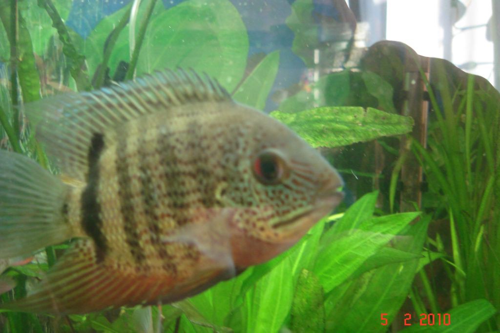 05.02.2010 19:07:53
