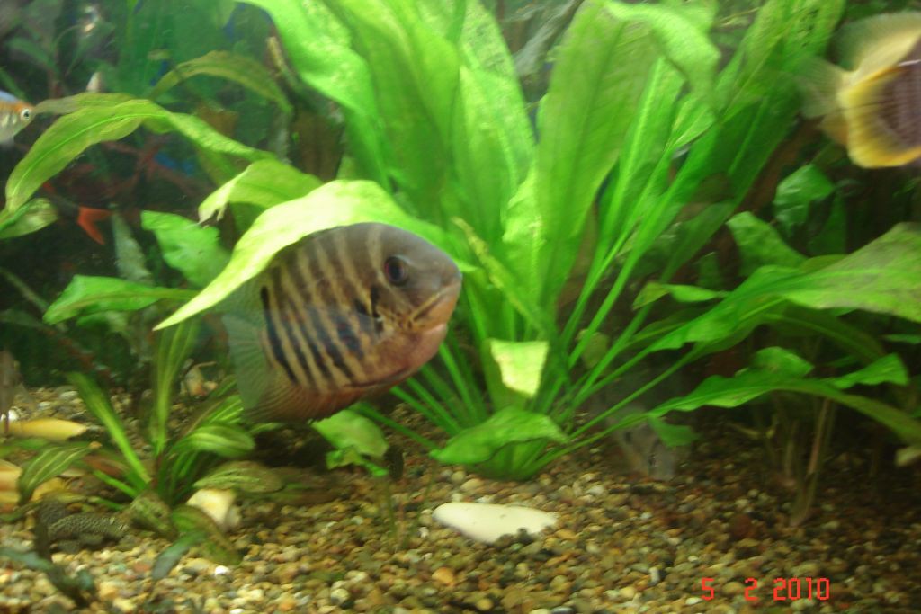 05.02.2010 19:08:04