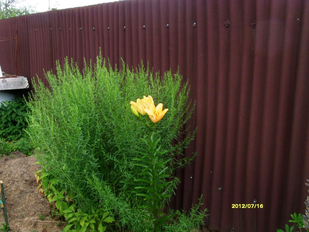 S73R2479.JPG