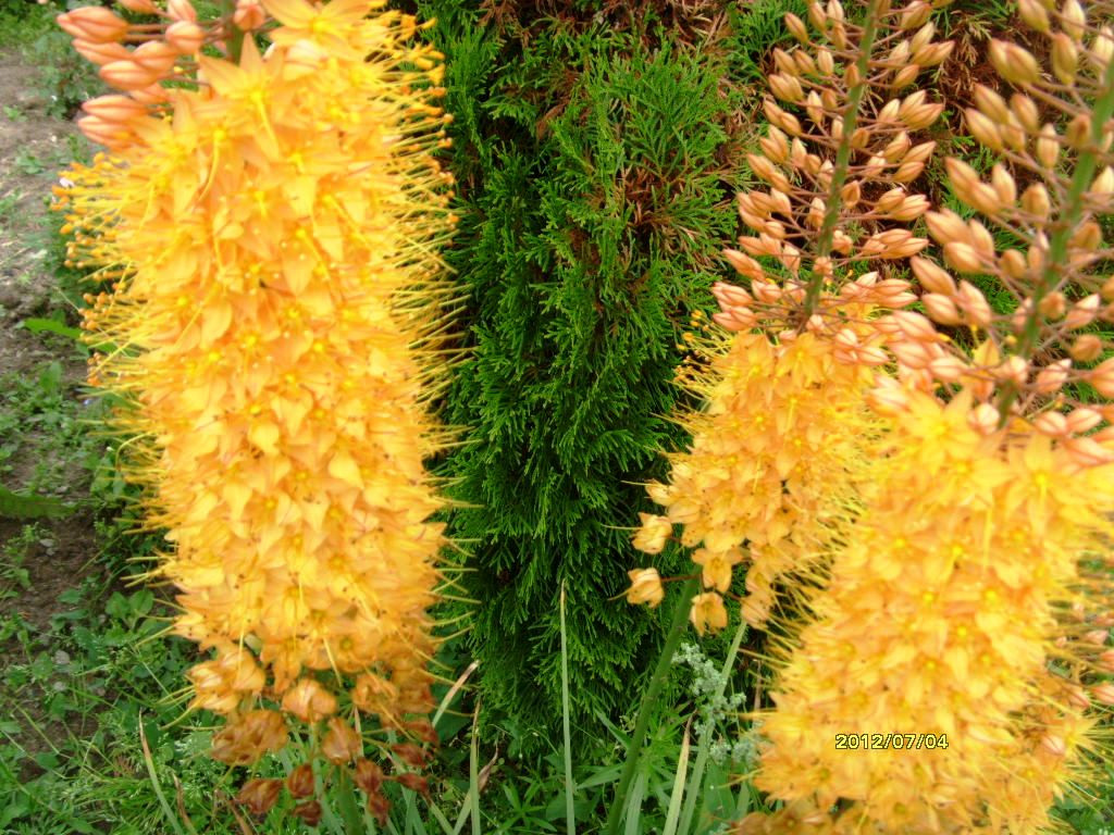S73R2057.JPG