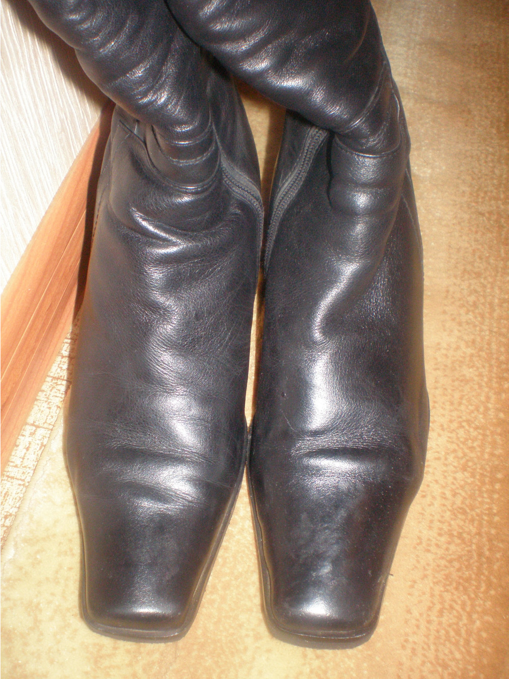PB260014.JPG