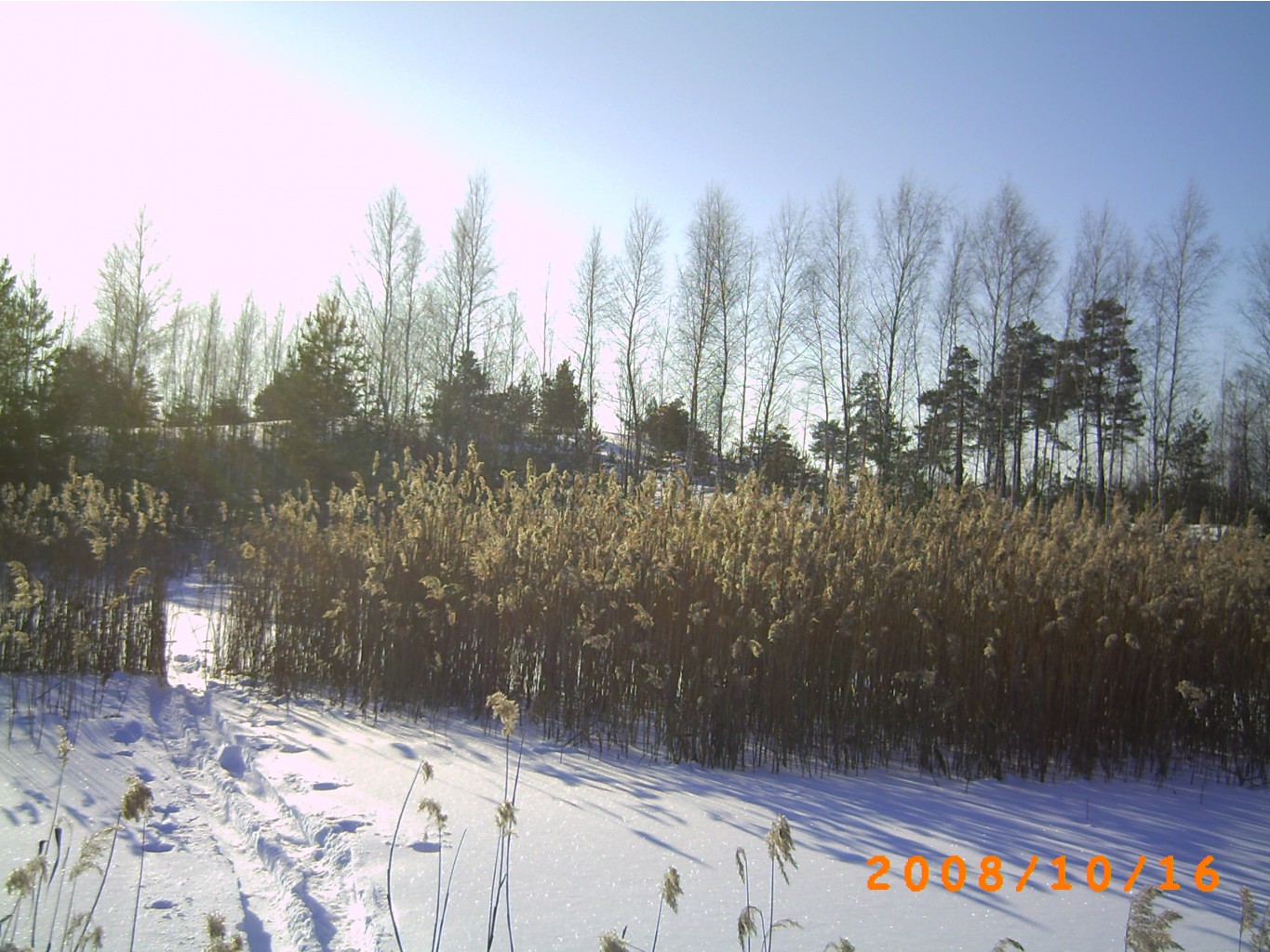 07.02.2010 22:39:37