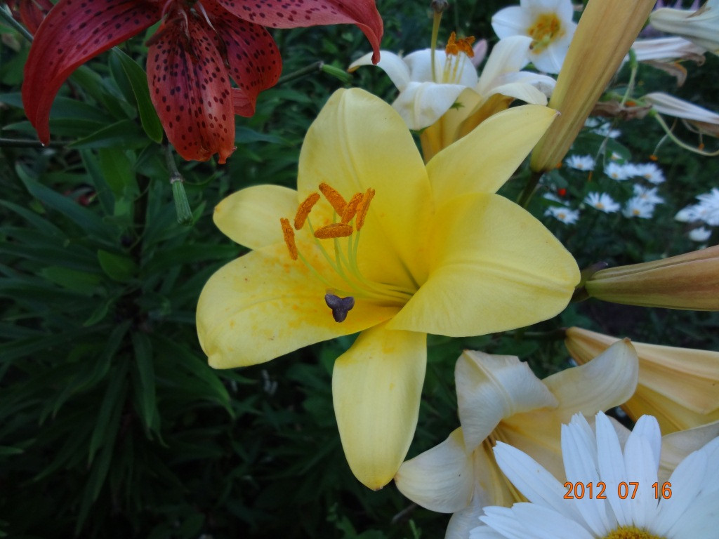 DSC01087.JPG