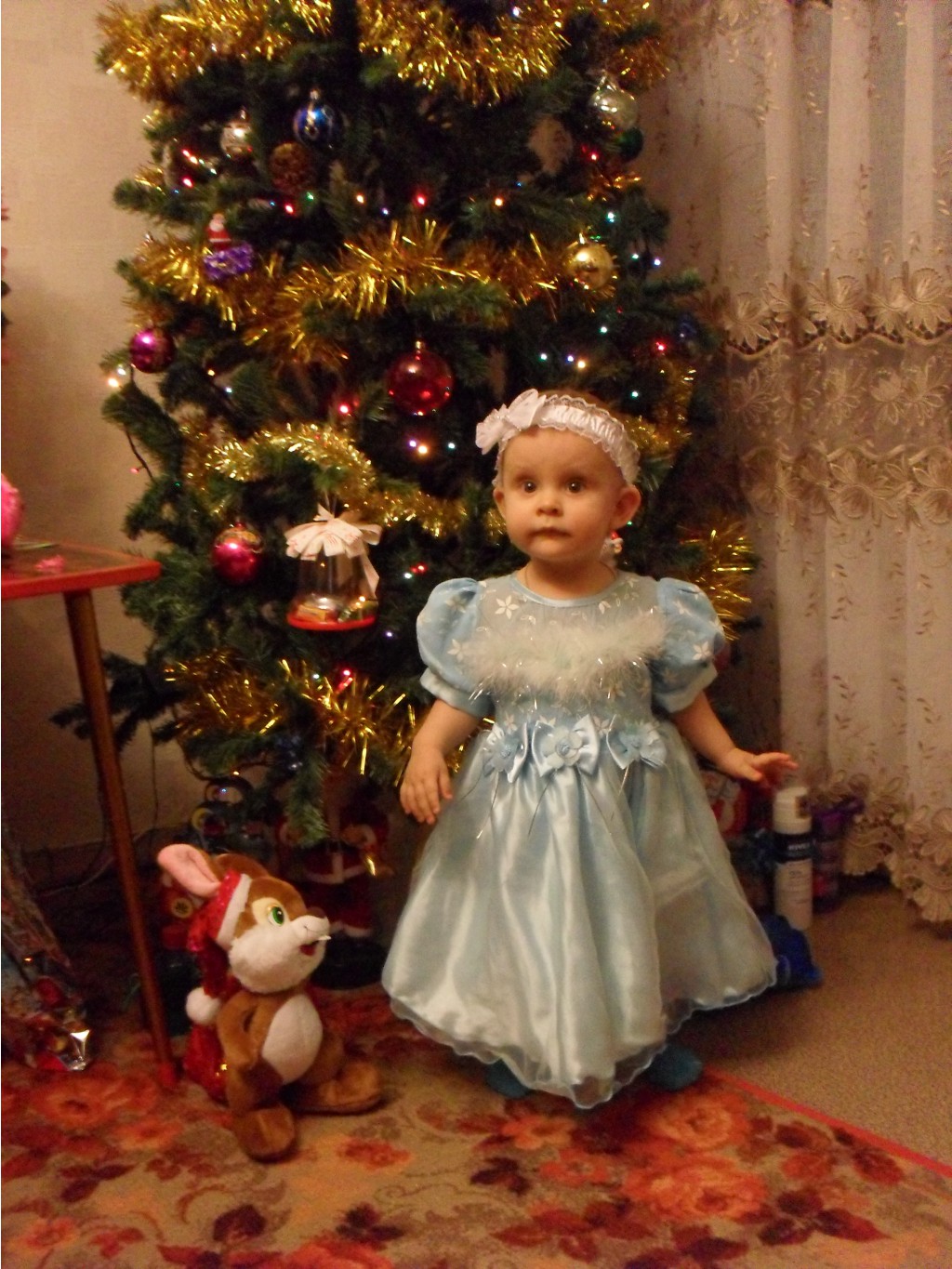 SDC10282.JPG