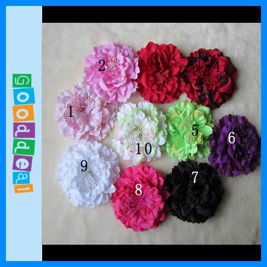 http://www.aliexpress.com/store/product/Free-Shipping-10-Colors-For-Your-Choose-4-8-Big-Baby-Flower-Rose-Flower-Hair-Clip/206224_592835589.html