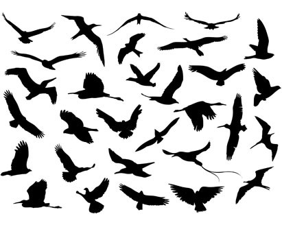 vector_flying_birds_by_design-maker.jpg