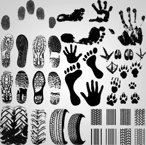 Footprints_vector1.jpg