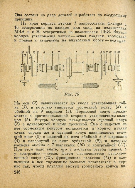 246.jpg