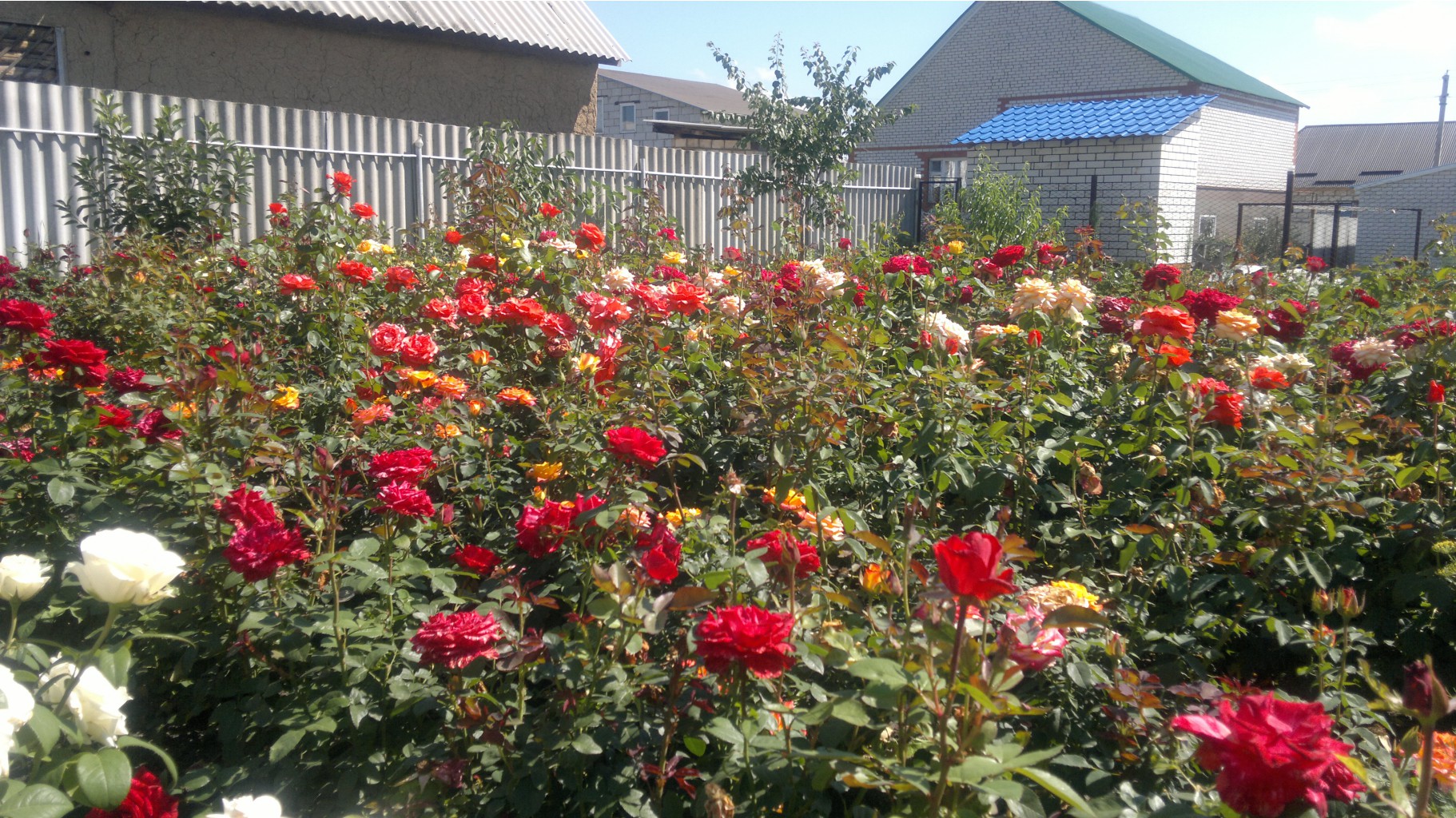08072012699.jpg