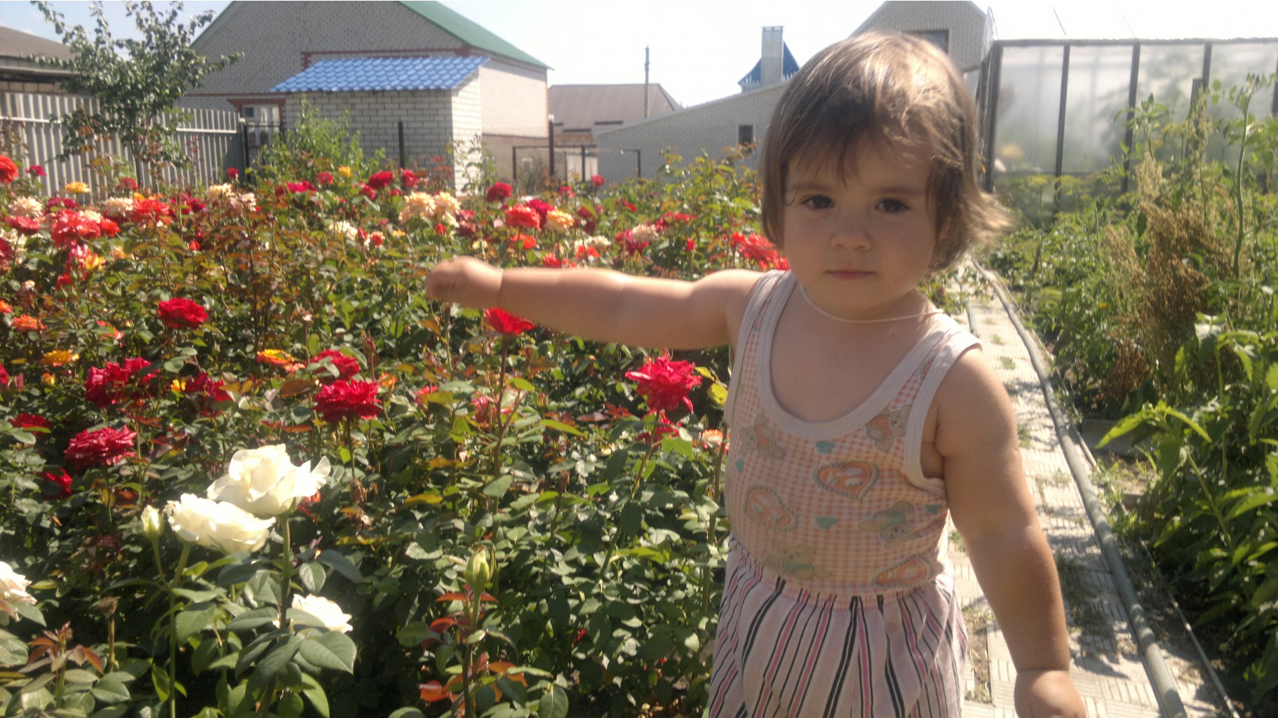 08072012698.jpg