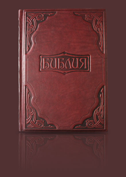 16.02.2010 19:16:54