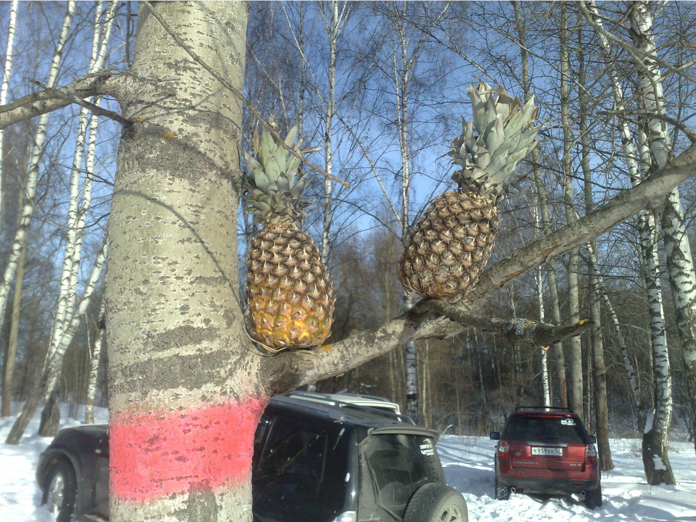 17.02.2010 12:03:33