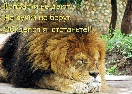 лев.jpg