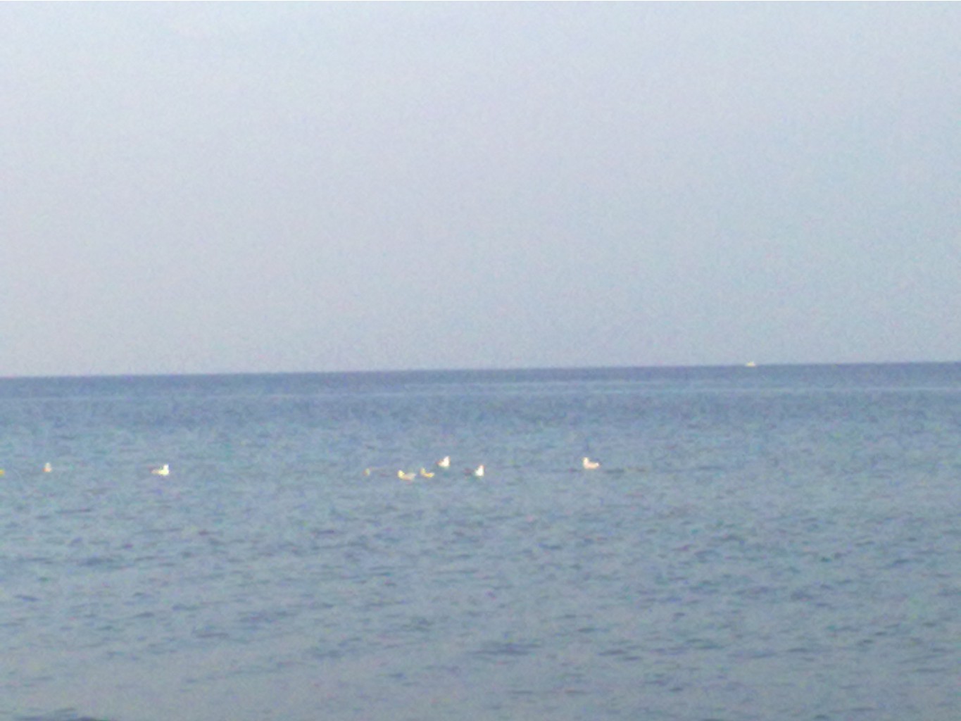01092013789.jpg