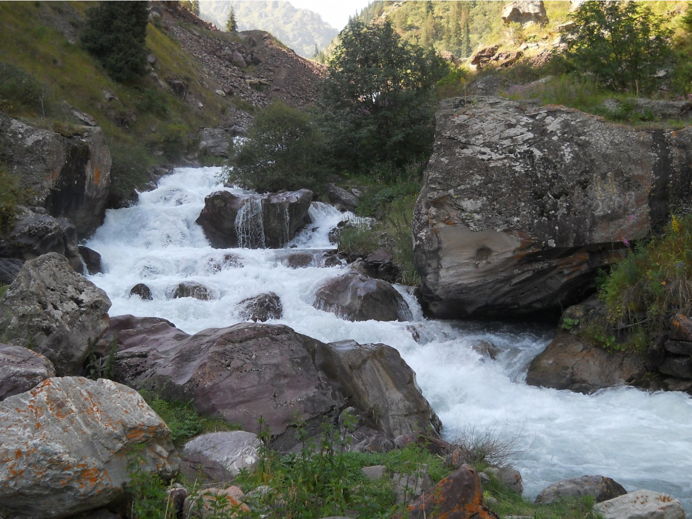 DSCN1859.JPG