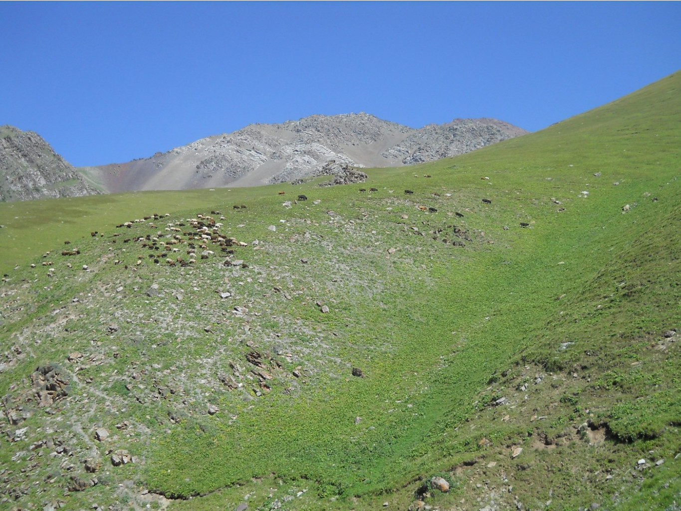 DSCN1872.JPG