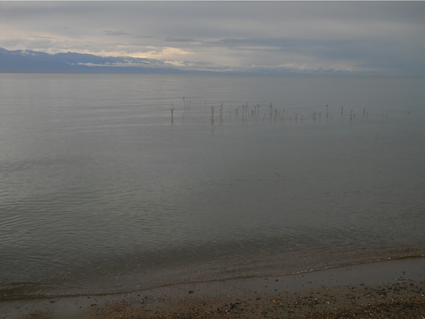 DSCN1998.JPG