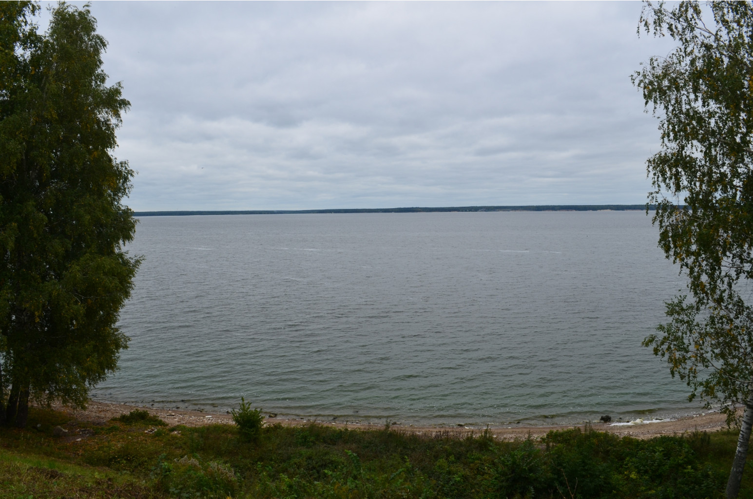 DSC_0339.JPG