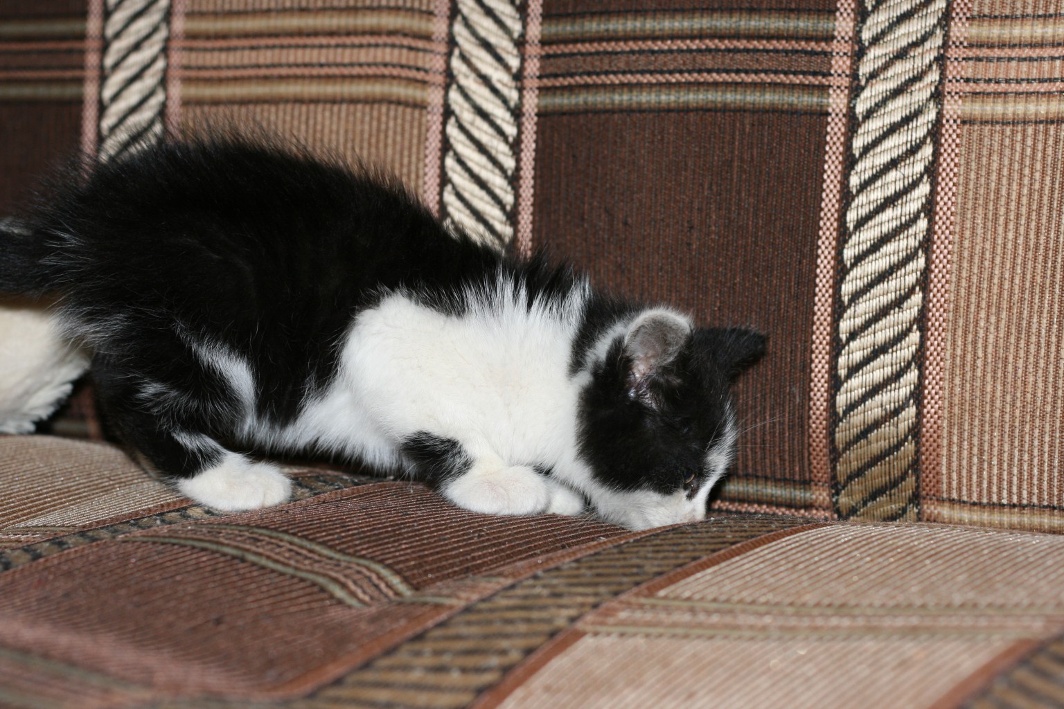 img4866.JPG