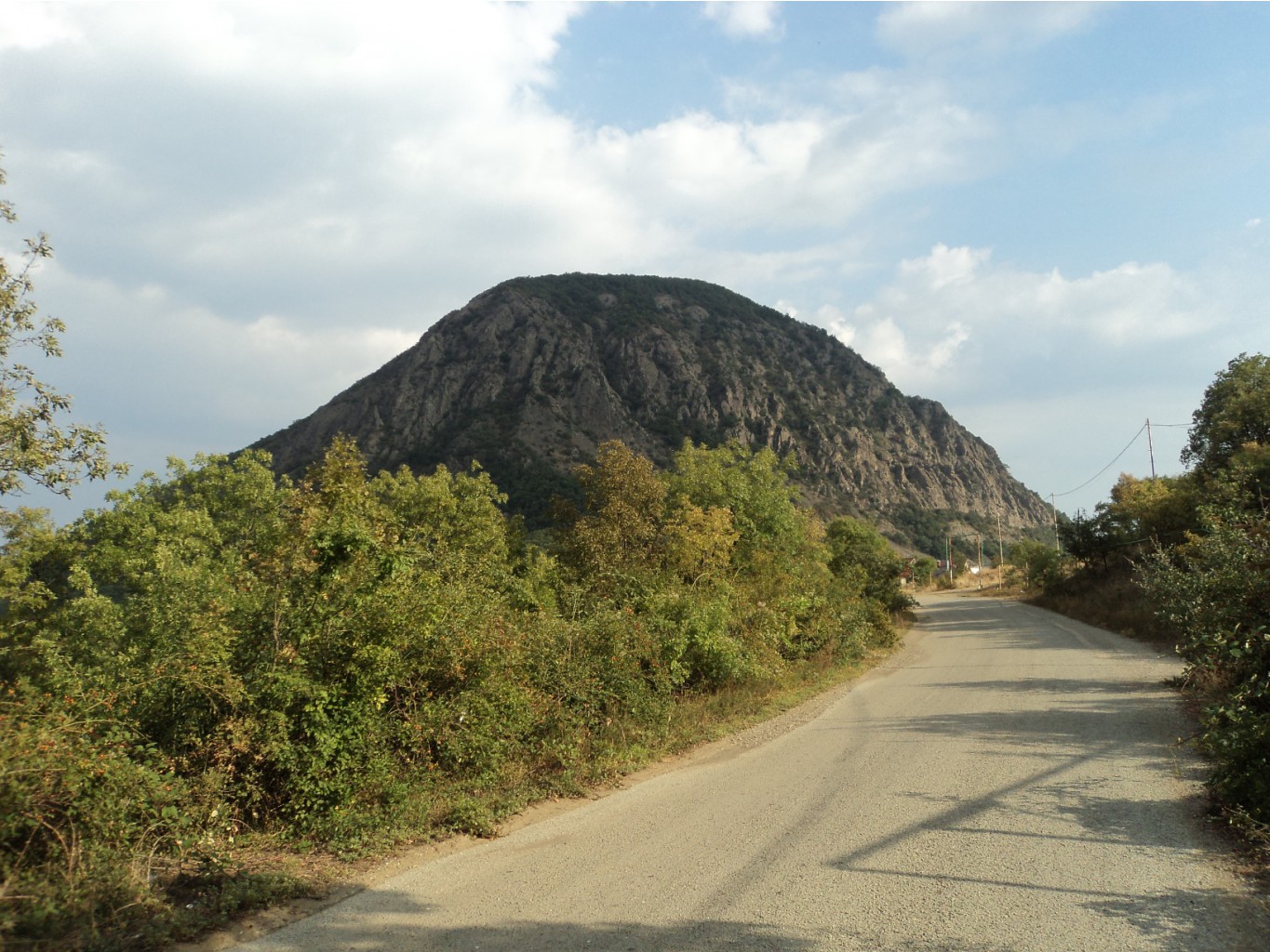 DSC01542.JPG