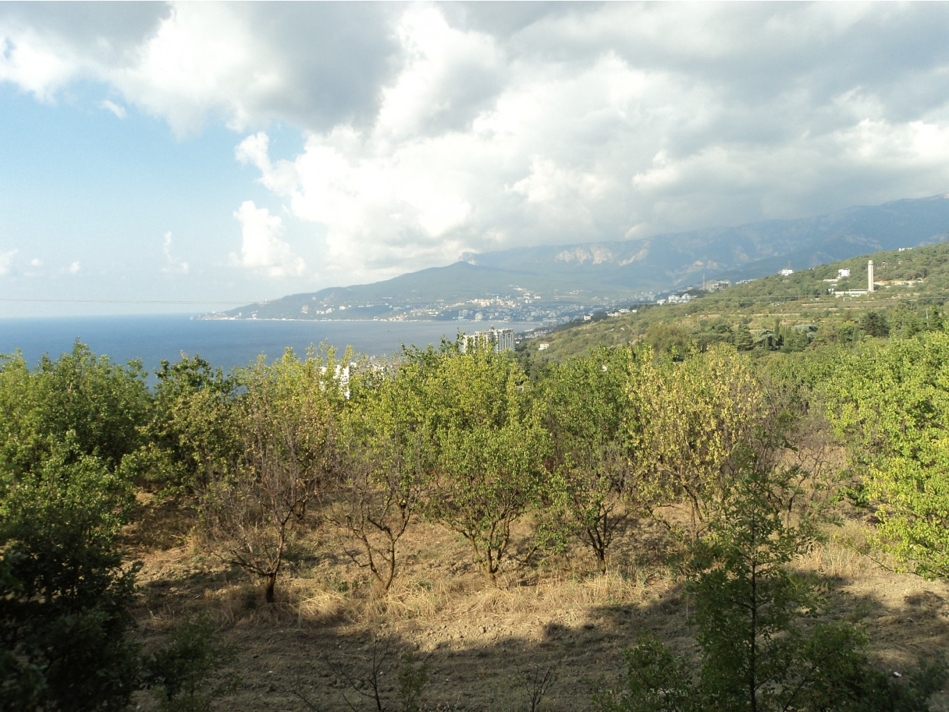 DSC01569.JPG