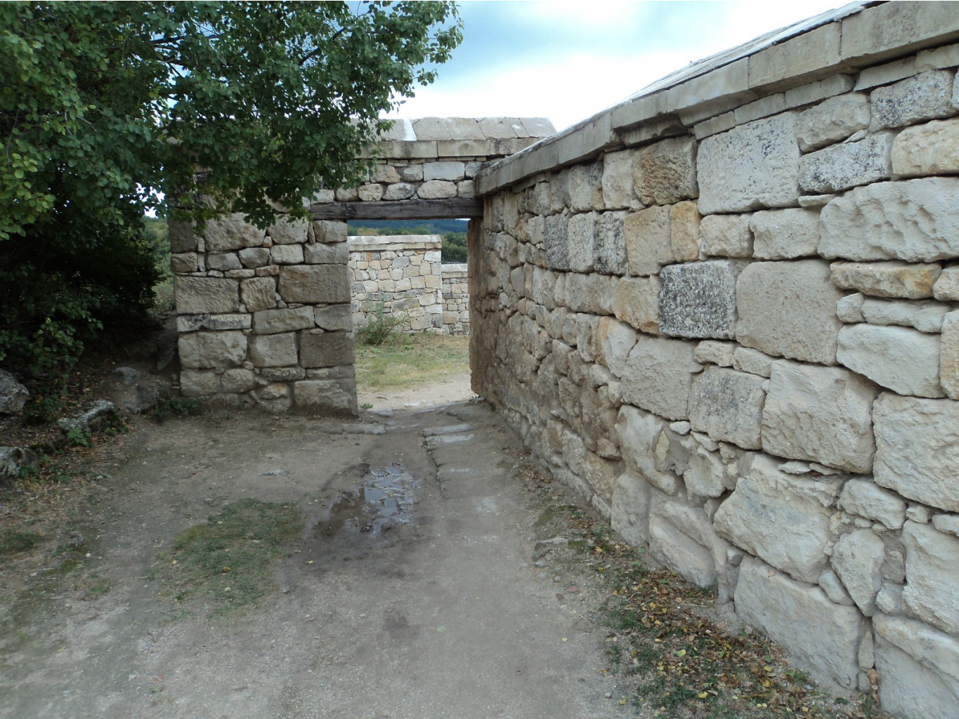 DSC02178.JPG