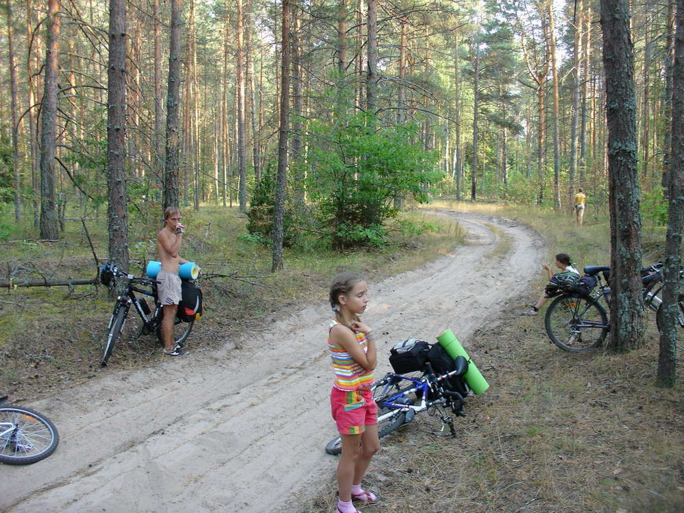 дорога
