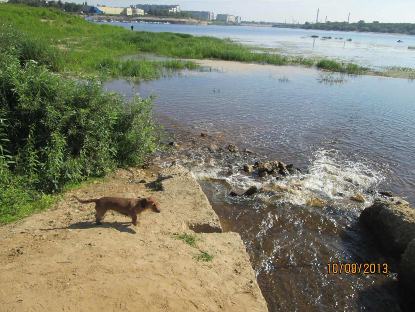IMG_1420.JPG