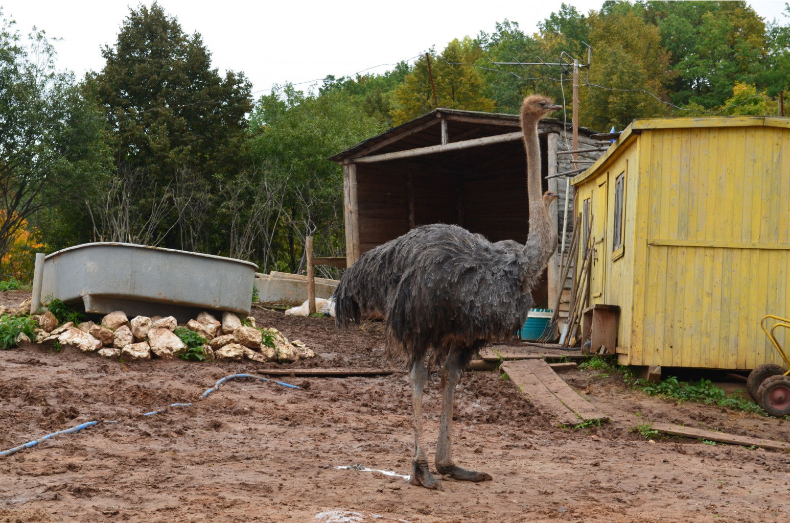 DSC_0641.JPG