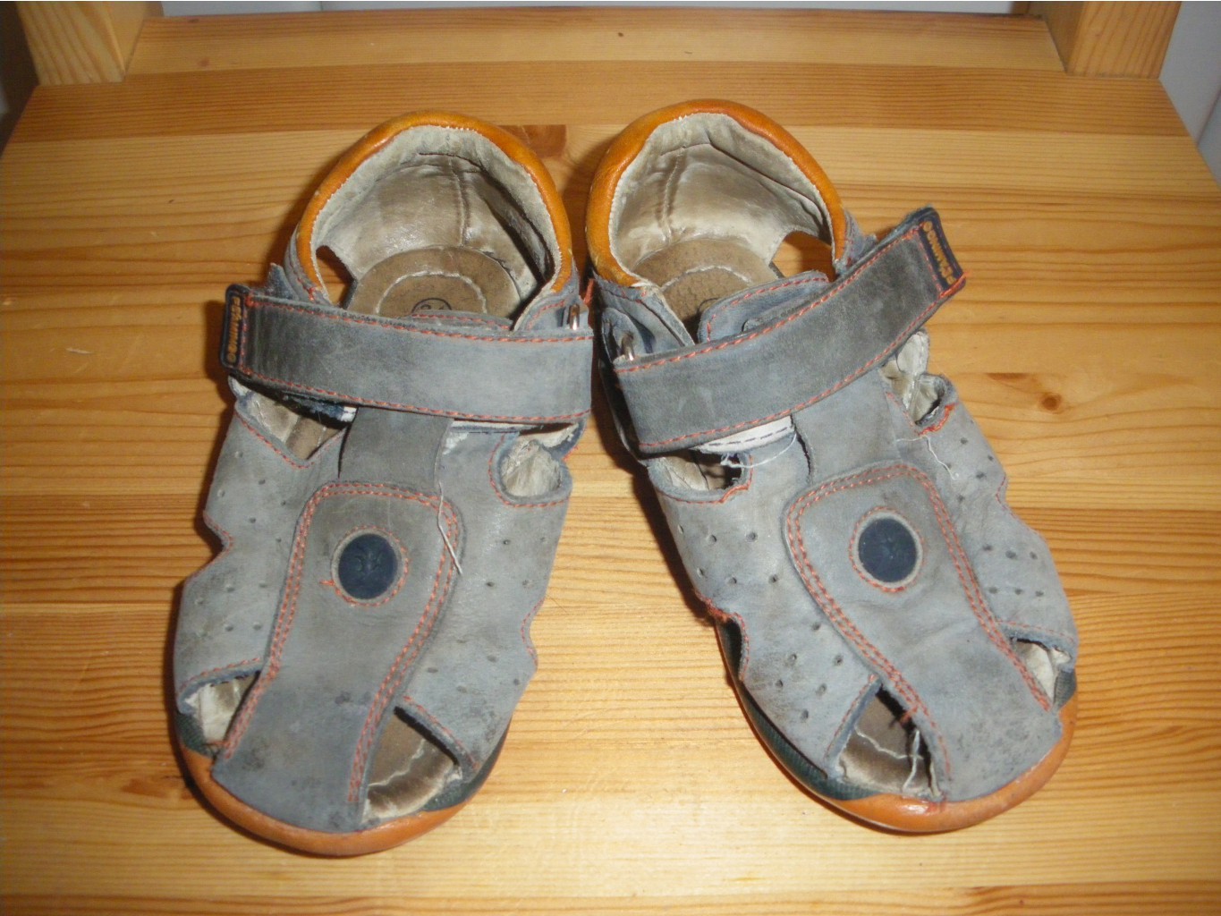 IMGP0021.JPG