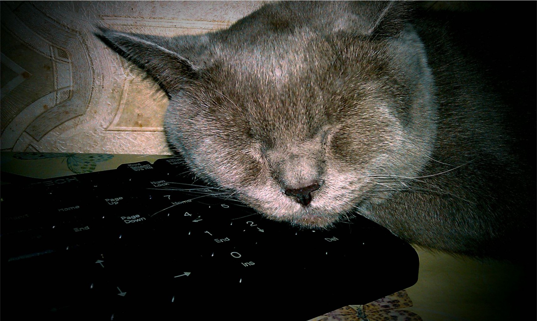 IMAG0860.jpg