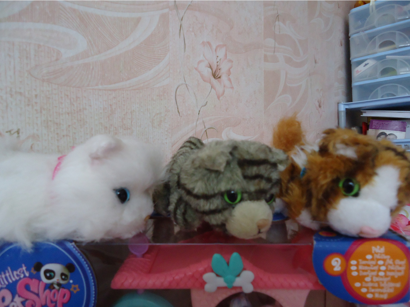 DSC01175.JPG