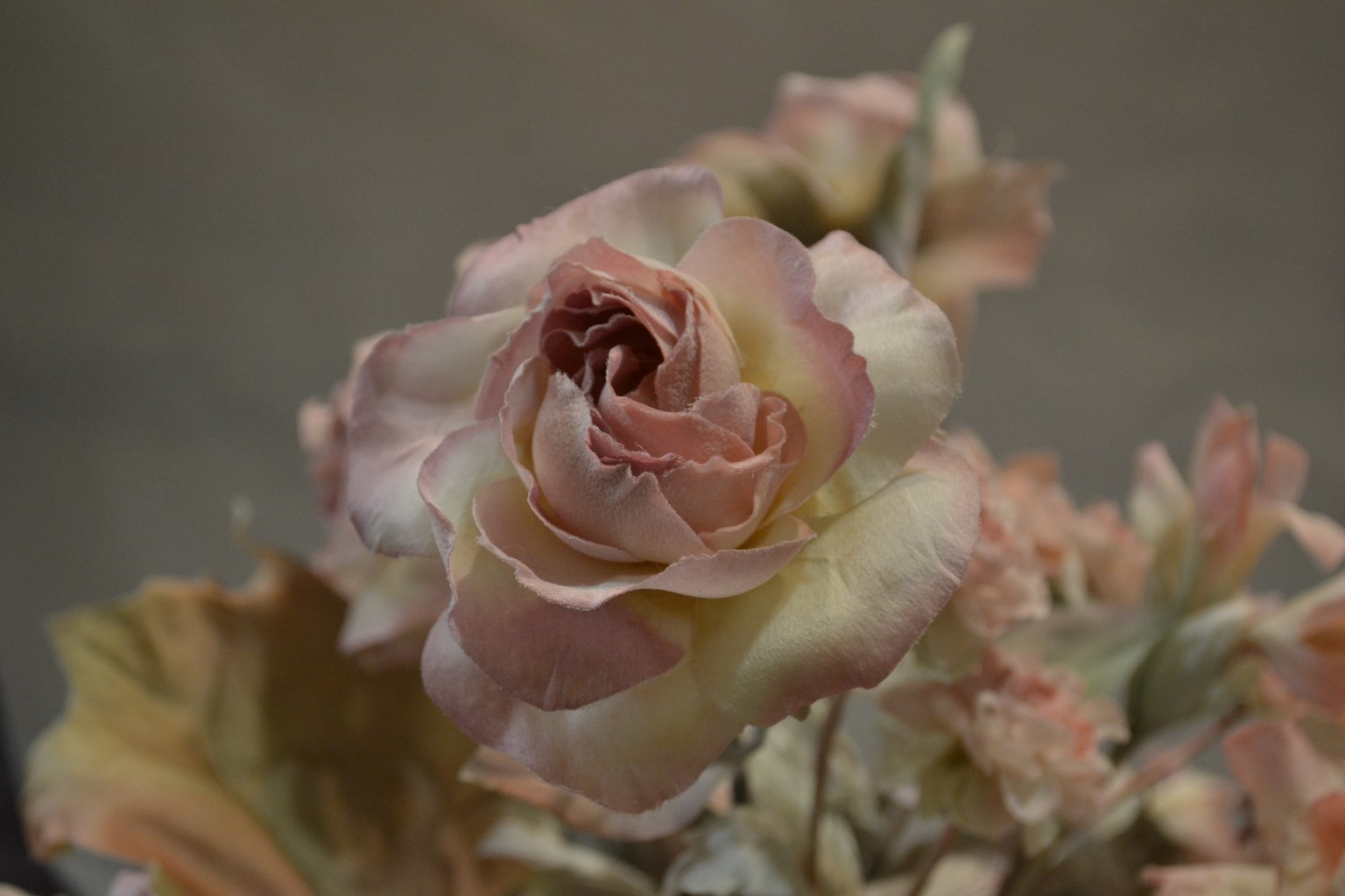 DSC_0047.JPG