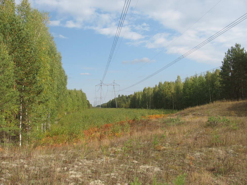 просека ЛЭП