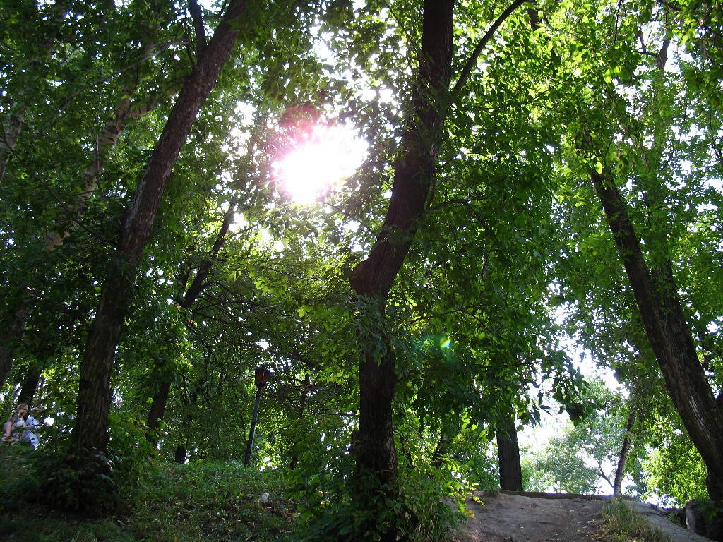 17.09.2007 12:16:54