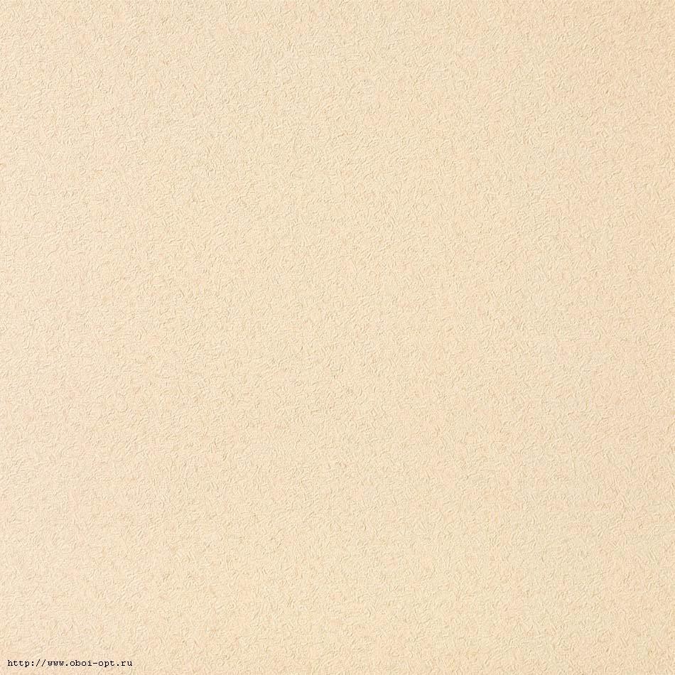 4636.jpg