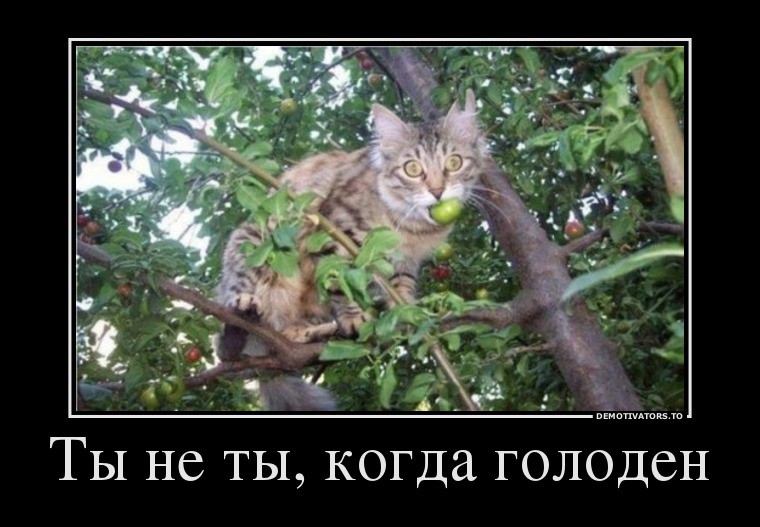 20.09.2013 14:42:13
