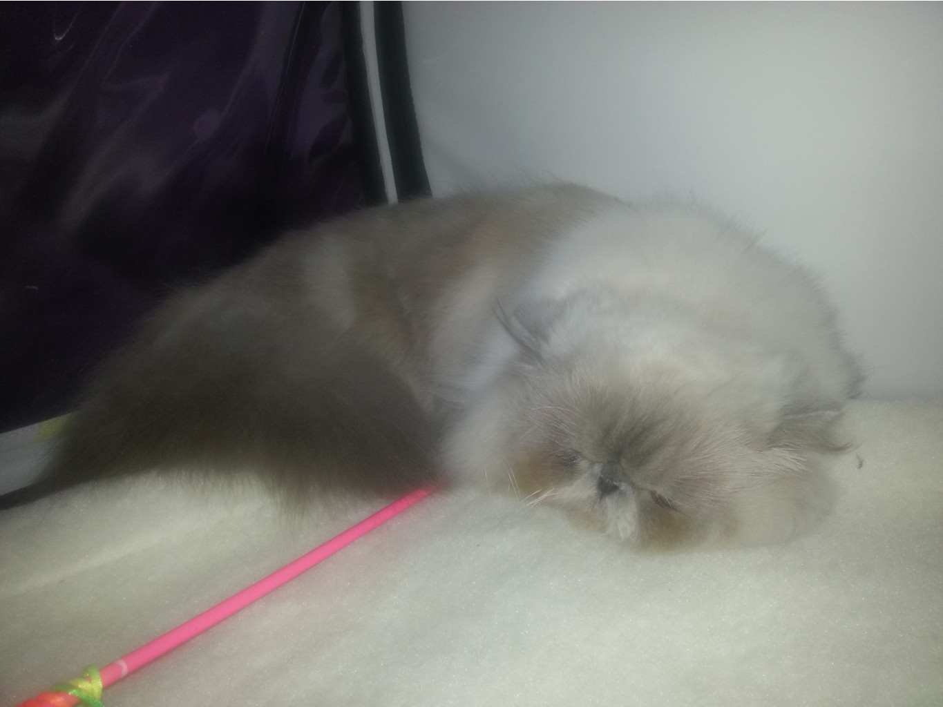 20130914_172152.jpg