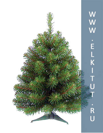   (NORWAY Spruce) 60    _428,00 