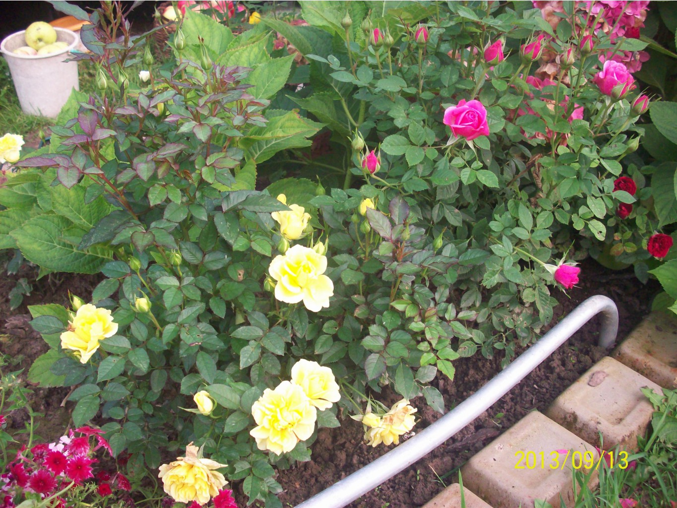 100_2804.JPG