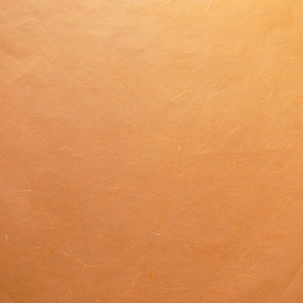11910 . 1,05   1 .jpg