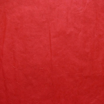 11913 . 1,05   1 .jpg