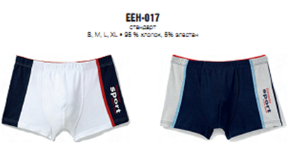  EEH-017 ( .)