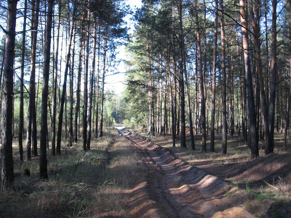 дорога...
