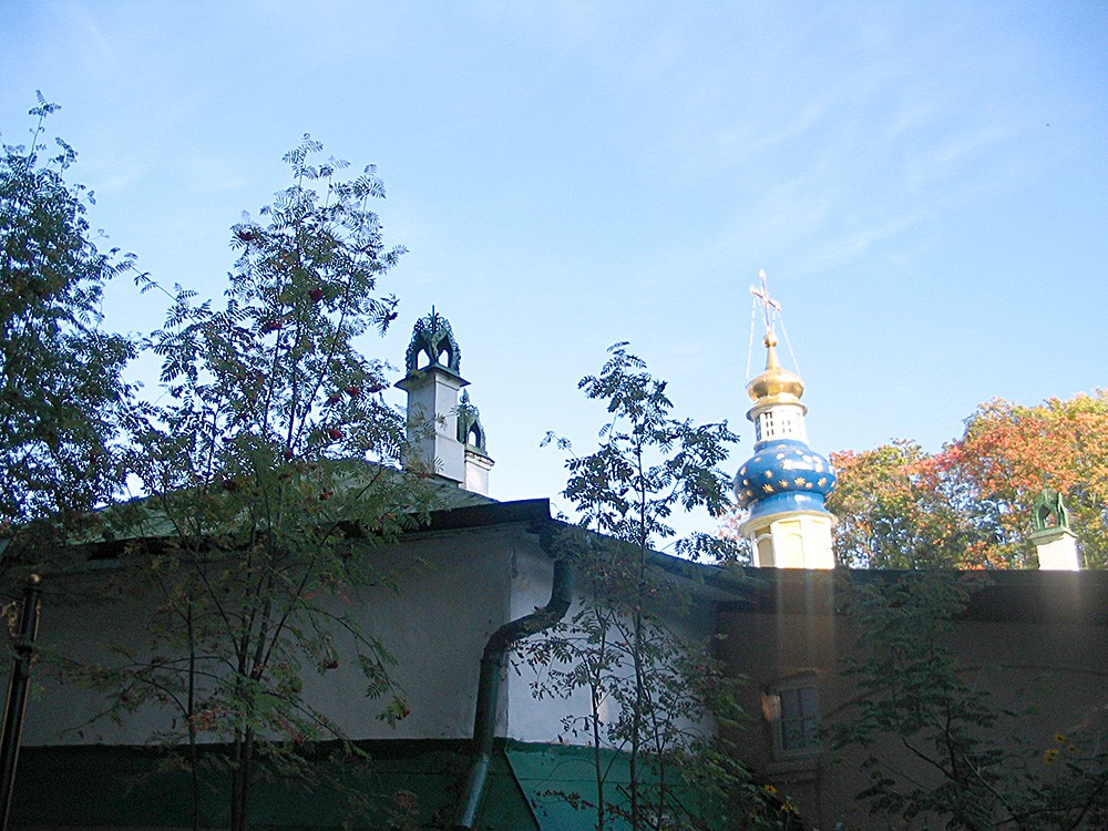 IMG_9574.jpg