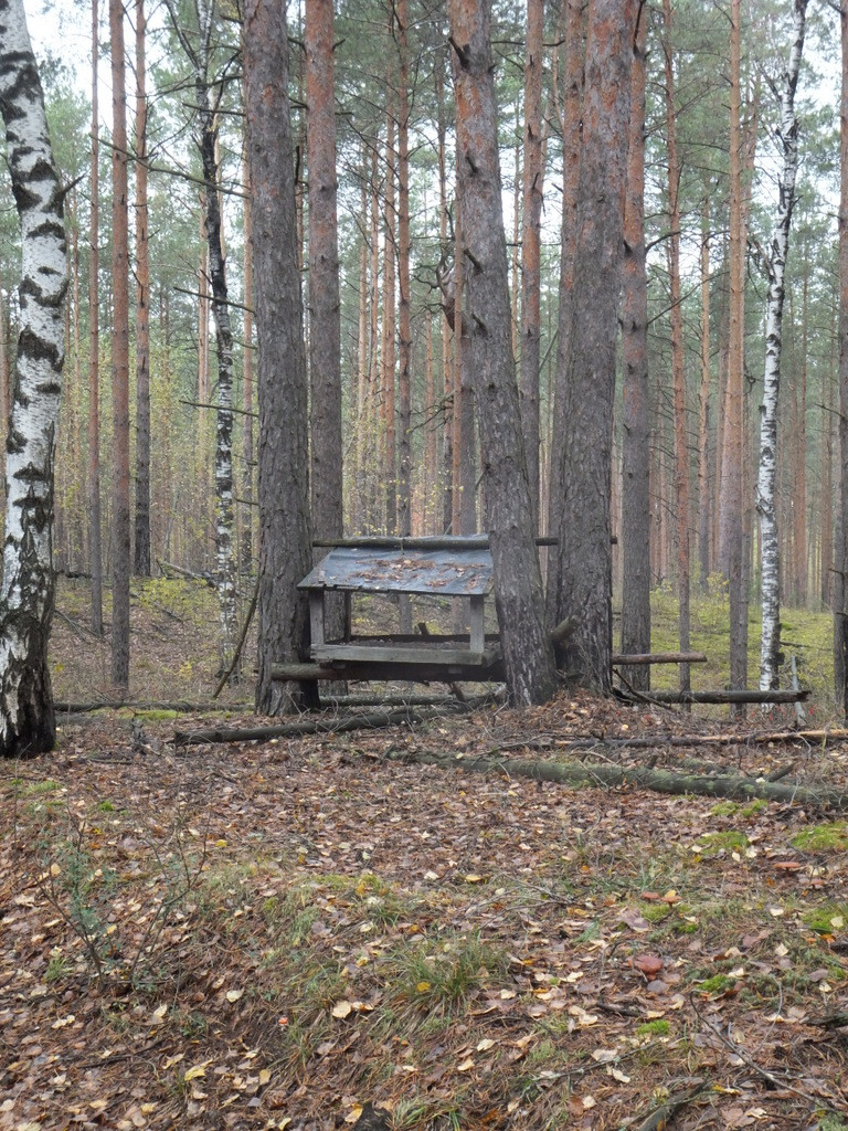 DSCF8741.JPG