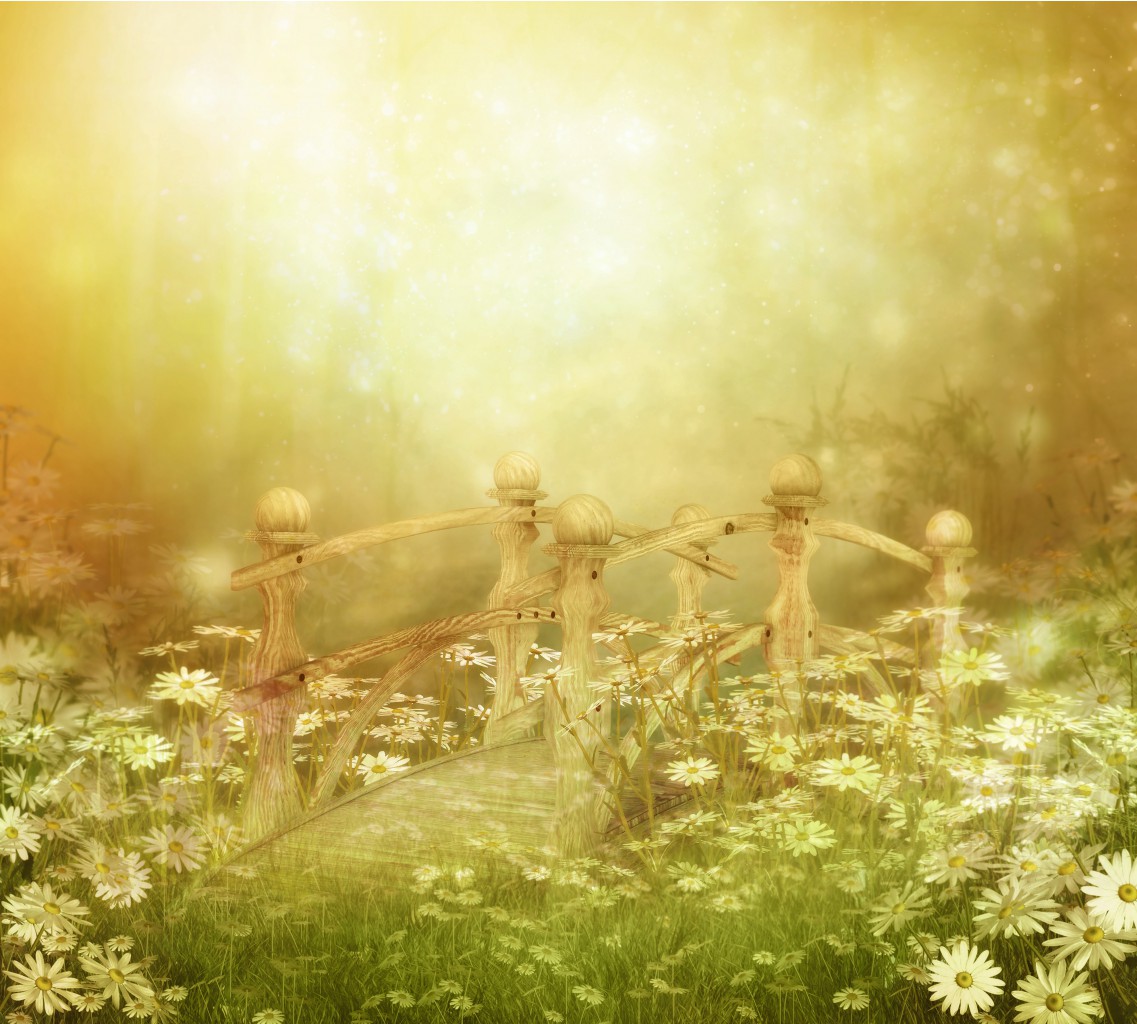 DaisyWoodlands01.jpg